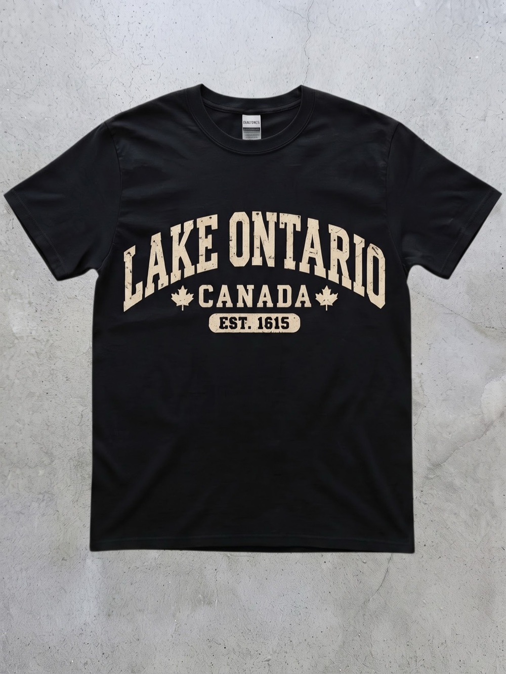 Black Gildan Lake Ontario Canada Graphic
Tee